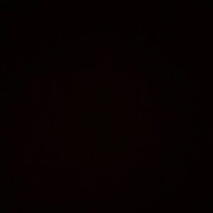 Meet your Posher, Elizabeth martha